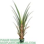 Dracaena Silk Plant Artificial 5ft Faux House Plants Evergreen Dracaena