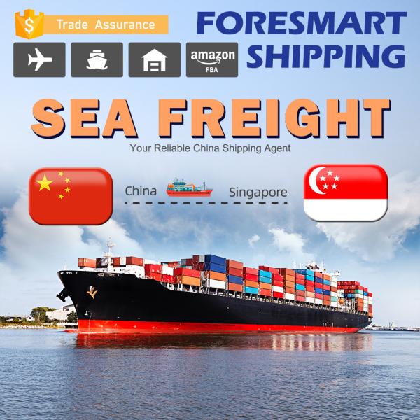 Buy cheap TUV Ocean Freight From China To Singapore Freight Forwarder from wholesalers