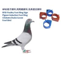 Buy cheap RFID Poultry Foot Ring Sign, RFID Pigeon Foot Ring, Chickens Ducks Goose product
