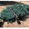 Buy cheap 30m Disguised Antenna Monopole Self Support Cell Tower from wholesalers