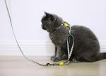 Travel Small Cat Harness And Leash Kitten Lead And Harness