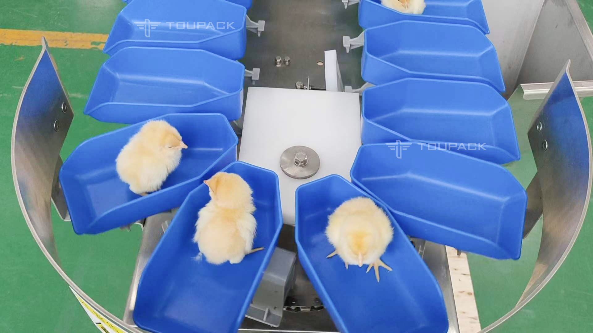 Smart Auto Conveyor Check Weigher Machine For Red Shrimp Sausages Sorter Belt Weigher Weight Checker