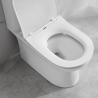 Buy cheap Dual Flush Elongated One Piece Toilet 1.3Gpf Modern Ceramic Material from wholesalers