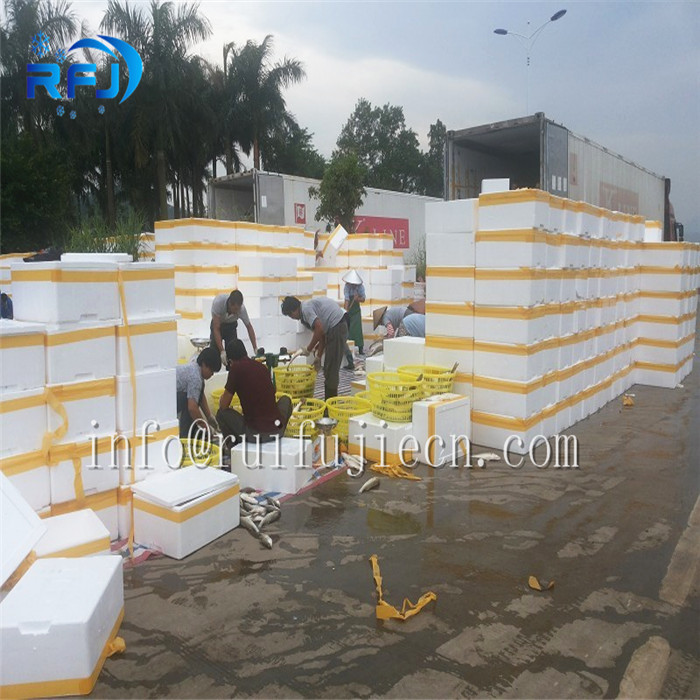 Industrial Flake Ice Machine 3 Tons 380V/50HZ Bock / / Copeland Compressor