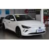 Buy cheap Hyundai Feista pure electric 2020 GLS free travel version 4 door 5 seats Compact sedan from wholesalers