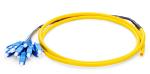 1.5m 12 Fibers OS2 Fiber Optic Pigtail Single Mode Bunch PVC 0.9mm SC UPC