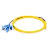 Buy cheap 1.5m 12 Fibers OS2 Fiber Optic Pigtail Single Mode Bunch PVC 0.9mm SC UPC from wholesalers