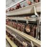 Buy cheap Complete Set Of Laying Hens Breeding Equipment For Chicken House from wholesalers