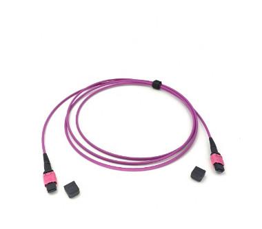 Buy cheap MPO UPC 3m Female Fiber Optic Patch Cord 12 24 Cores LSZH from wholesalers