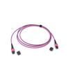 Buy cheap MPO UPC 3m Female Fiber Optic Patch Cord 12 24 Cores LSZH from wholesalers