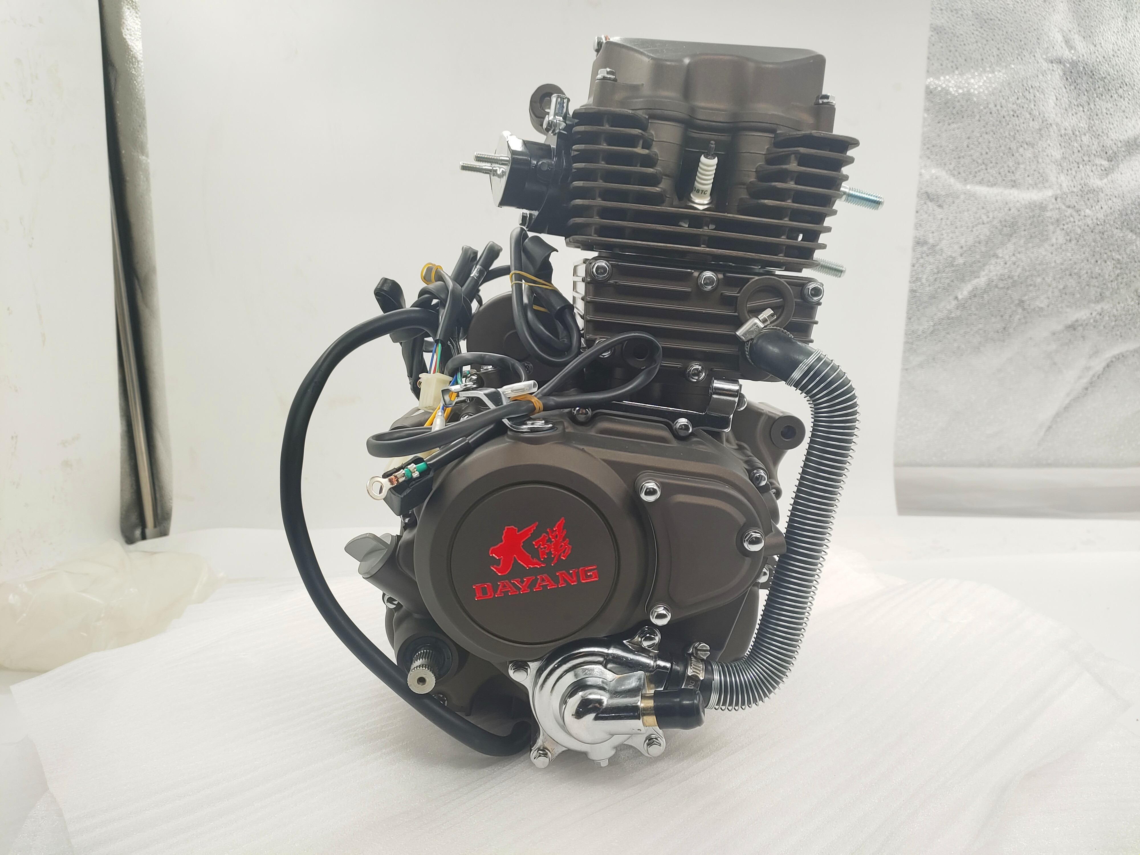 DAYANG LIFAN Motorcycle Engine Assembly Single Cylinder Four Stroke Style Max Power 9.5/8000