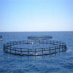 PE Bracket HDPE Fish Cage Trap Non Toxic 250/315mm Pipe Size For Sea Farming
