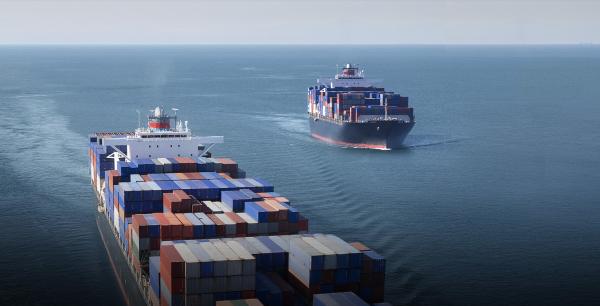 Buy cheap Reliable Door To Door DDP Sea Freight Shipping From China To USA Amazon FBA By ZIM from wholesalers