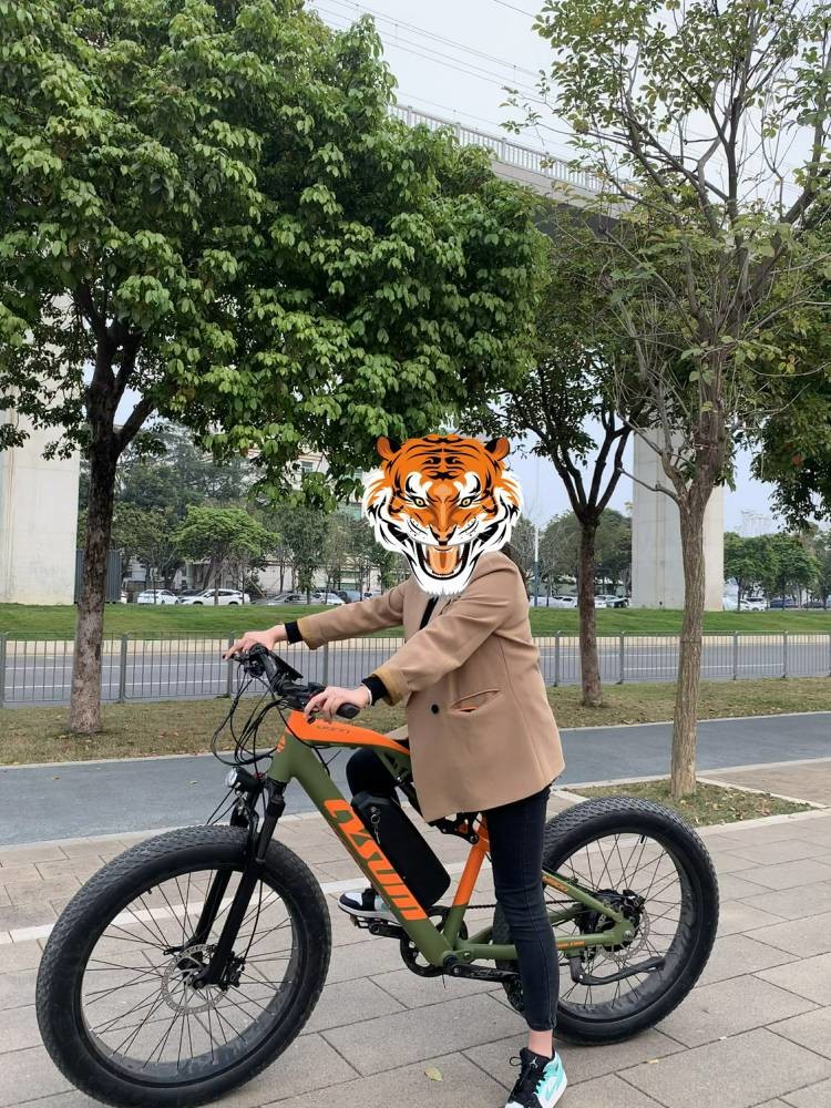 Mid Drive High Power Ebikes 1000w 48v 17Ah Hydraulic Disc Brake CYSUM M999