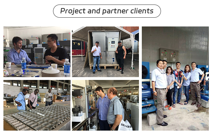 0.5 T/day Tube Ice Machine With Competitive And Automatic Ice Packer For Ice Production And 500KG Ice Storage Capacity