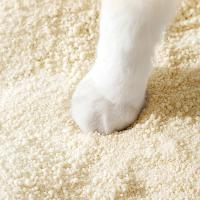 Buy cheap Custom Cassava Cat Litter Sand ODM Fast Clumping Cat Litter Low Dust product