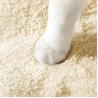 Buy cheap Custom Cassava Cat Litter Sand ODM Fast Clumping Cat Litter Low Dust from wholesalers