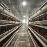 Buy cheap Automatic H Type Layer Chicken Cage Poultry Farming Laying Hens Cage from wholesalers