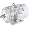 Buy cheap Mg 1 1998 Nema Standard Motor Efficiency Nema B Motor from wholesalers