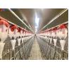 Buy cheap KXD Stainless Steel Pig Nipple Drinker Piggery Equipment Quick Installation from wholesalers