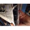 Buy cheap Socks Sheet Soft Soil Retaining Wall Geocomposite Drainage from wholesalers