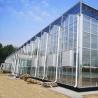Buy cheap Glass Greenhouse for Hydroponic Vegetable Cultivation Package Gross Weight 80.000kg from wholesalers