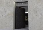 Interior Aluminium Pivot Entrance Doors