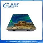 Customization P3.91 Video Panel Display SMD1921 Indoor And Outdoor Glass +Gob