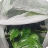 Buy cheap Nontoxic Crop Protection Cover Durable , Biodegradable Garden Fleece For Plants from wholesalers