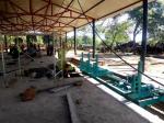 MJ3310 Vertical Band Sawmill with Log Carriage / Wood vertical cutting bandsaw