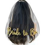 European and American singles party white veil, headband party supplies, bride's