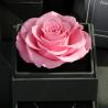 Buy cheap Hot selling eternal rose jewel case forever rose gift for wife from wholesalers