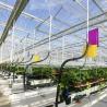 Buy cheap Large Shading Screen Glass Greenhouse Hydroponic System for Optimal Crop Cultivation from wholesalers
