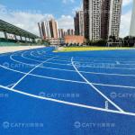 Iaaf Polyurethane Athletic Track and Field Materials EPDM Granules for School