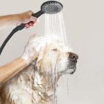 ABS Nozzles Wall Mount Shower Head Matte Black 5 Spray Functions