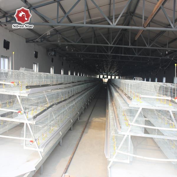 Buy cheap A Type 3 Tiers Meat Broiler Baby Chick Cage 13 Chicks/Cell from wholesalers