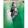 Buy cheap 6754-01-1310 Marine Engine Crankshaft PC200-8 6D107 Excavator Spare Parts from wholesalers