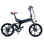 Pedal Assist 20 Inch Aluminum Fat Tire Ebikes 250 Watt
