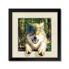 Buy cheap 5D Natural Flowers 40 x 40cm Poster Custom Lenticular Printing For Home Hanging from wholesalers