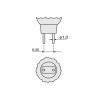 Buy cheap 12V 100W Grow Light Reflectors Halogen Lamp Replacement Light Bulb 3400K from wholesalers