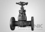 Reliable Forged Steel Globe Valve Boleted Bonnet Flanged End Up To 2 Inch