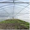 Buy cheap Large Mental Material Single Span Tunnel Plastic Greenhouse Uv Resistant Clear Sheeting from wholesalers