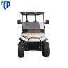 Buy cheap Acrylic / Perspex / Lucite / Plastic 2 Seater Battery Golf Carts 48V / 4kw from wholesalers