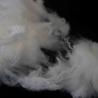 Buy cheap Low Crimp Silicone Free Short Staple Fiber 2.5D For Hot Air Non Woven Fabric from wholesalers