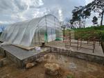 Customizable Smart Drying Greenhouse for Vegetables and Fruits in Controlled