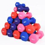 Cast Iron Fitness Neoprene Dumbbell Eco 4 Lb Neoprene Hand Weights Prevent