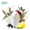 Buy cheap Electric Scent Diffuser Use Natural Plant Oils / 100 Pure Essential Oils from wholesalers