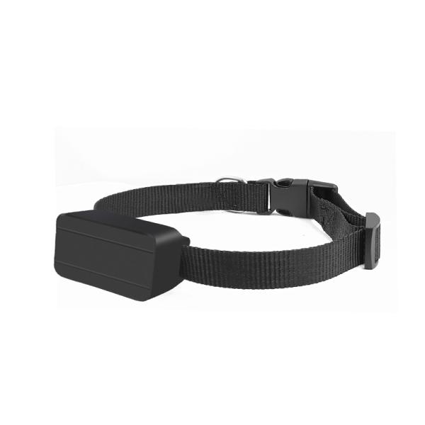 Buy cheap Portable Mini Alarm GPS Tracker Waterproof Vehicle Locator Tracker For People / Animals from wholesalers