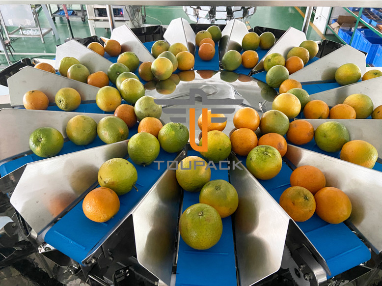 SUS304 Fruit Multihead Weigher Custom Feeding Belt For Avoiding Damaged