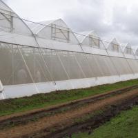 Buy cheap Crop Protection Fine Mesh Net Anti Insect Net Pest Greenhouse Net product